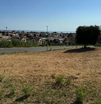 Foto annuncio 13