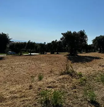 Foto annuncio 15