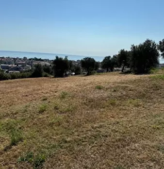Foto annuncio 19