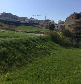 Foto annuncio 22