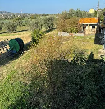 Foto annuncio 25