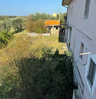 Foto annuncio 26