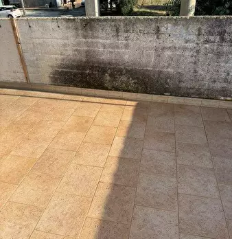 Foto annuncio 28