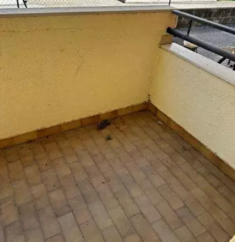 Foto annuncio 32
