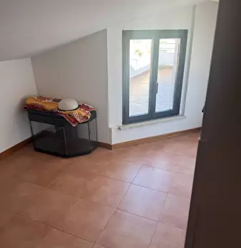 Foto annuncio 28
