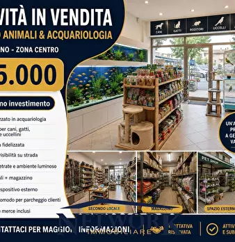Foto annuncio 10