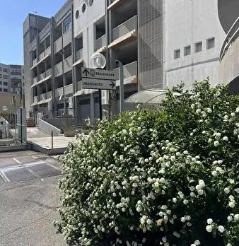 Foto annuncio 10