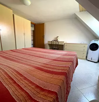 Foto annuncio 7