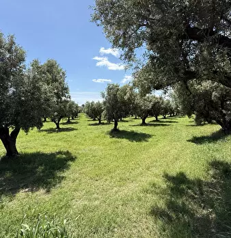 Foto annuncio 3