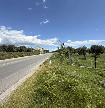 Foto annuncio 6