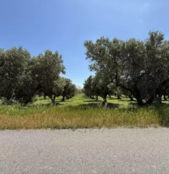 Foto annuncio 5
