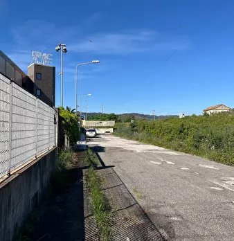 Foto annuncio 10