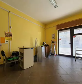 Foto annuncio 5
