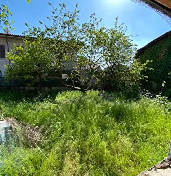 Foto annuncio 5