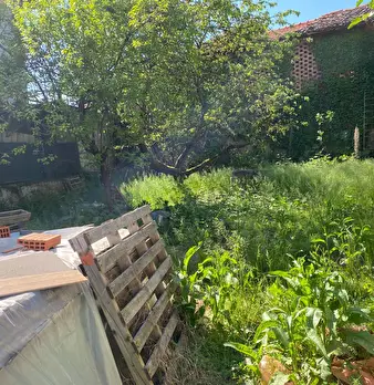 Foto annuncio 18