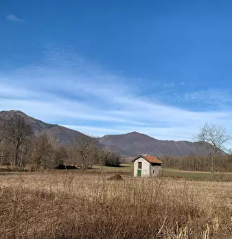 Foto annuncio 8