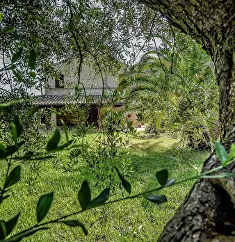 Foto annuncio 10