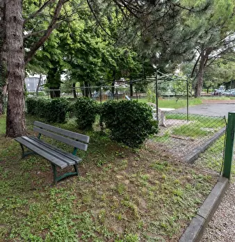 Foto annuncio 5