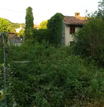 Foto annuncio 12