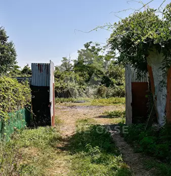 Foto annuncio 8