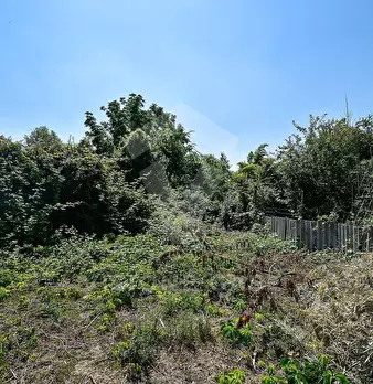 Foto annuncio 18