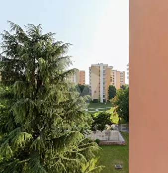 Foto annuncio 43