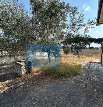Foto annuncio 8