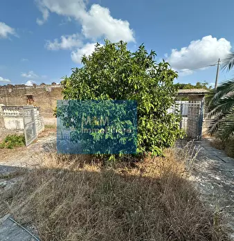 Foto annuncio 9