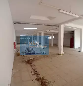 Foto annuncio 7
