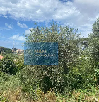 Foto annuncio 11