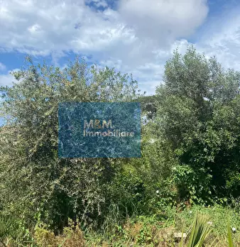 Foto annuncio 12