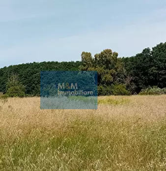 Foto annuncio 9