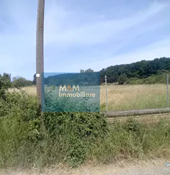Foto annuncio 13