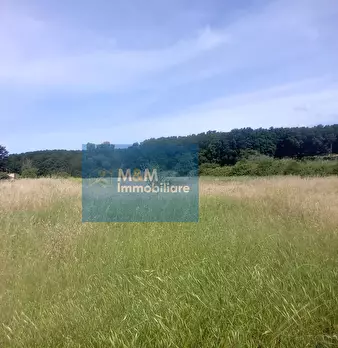 Foto annuncio 16