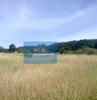 Foto annuncio 18