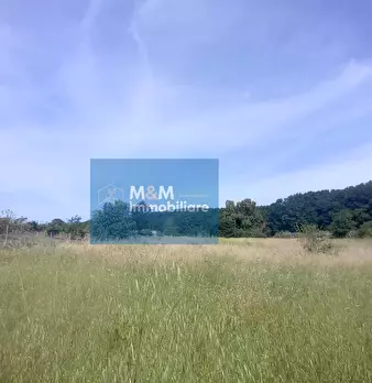 Foto annuncio 19