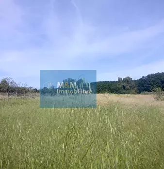 Foto annuncio 20