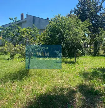 Foto annuncio 7