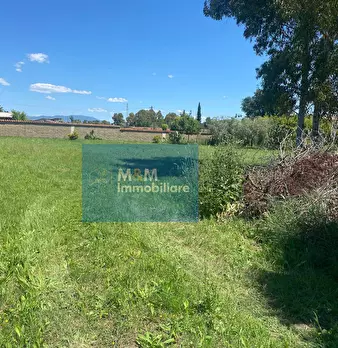 Foto annuncio 12