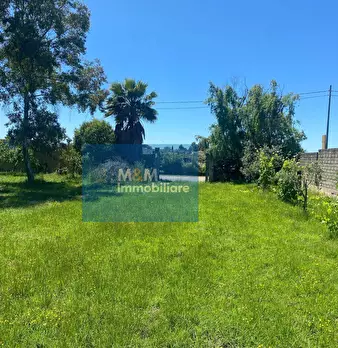 Foto annuncio 14