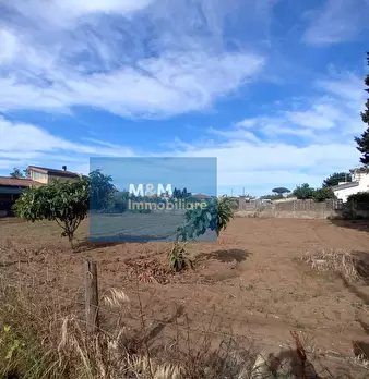 Foto annuncio 25