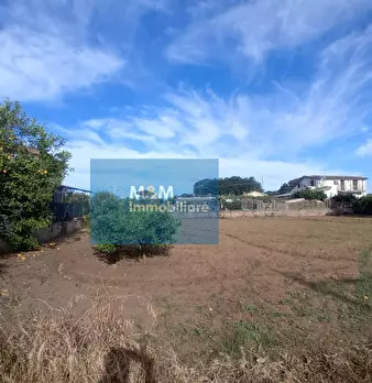Foto annuncio 30