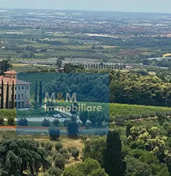 Foto annuncio 4