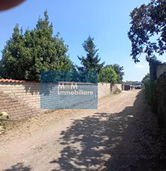 Foto annuncio 8