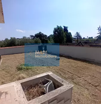 Foto annuncio 45