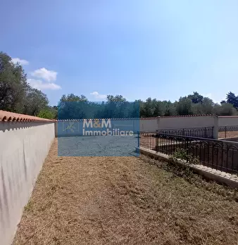Foto annuncio 63