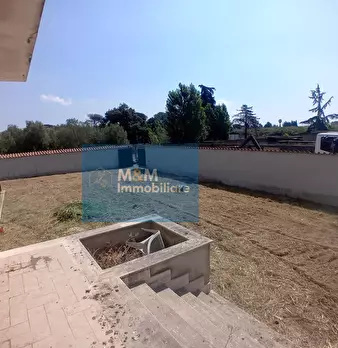 Foto annuncio 69