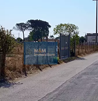 Foto annuncio 11