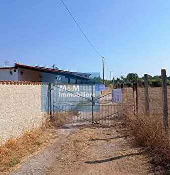 Foto annuncio 7