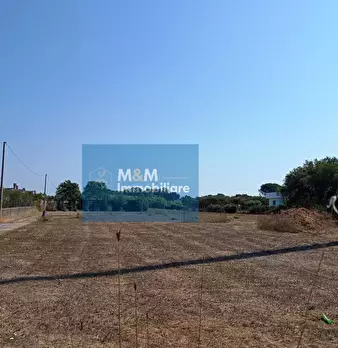 Foto annuncio 6